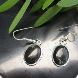 shungite earrings