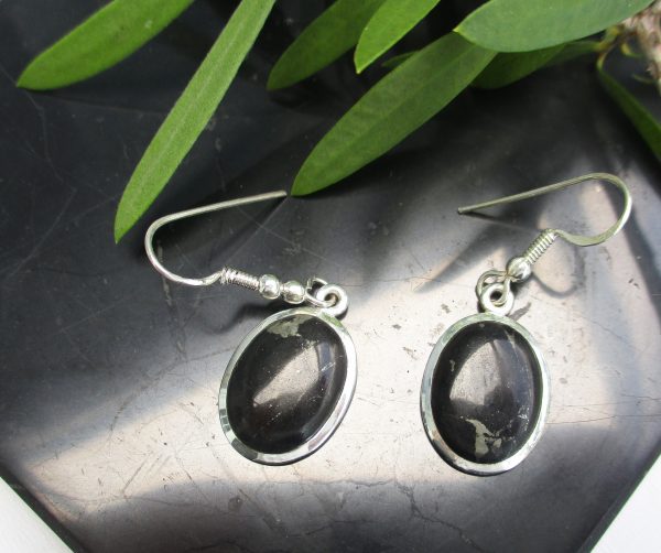 shungite earrings