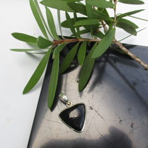 shungite, shungite pendant