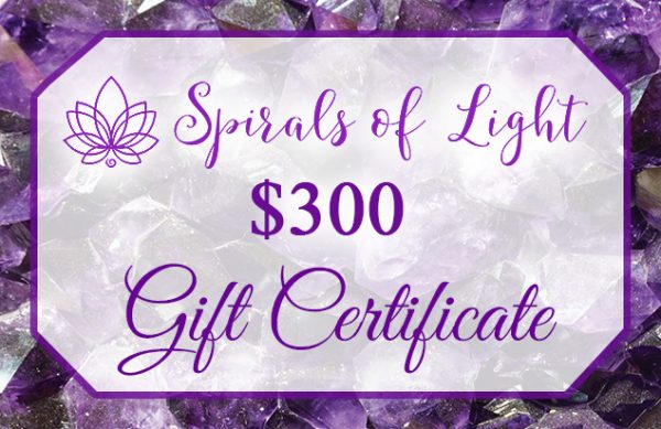 $300 Gift Certificate