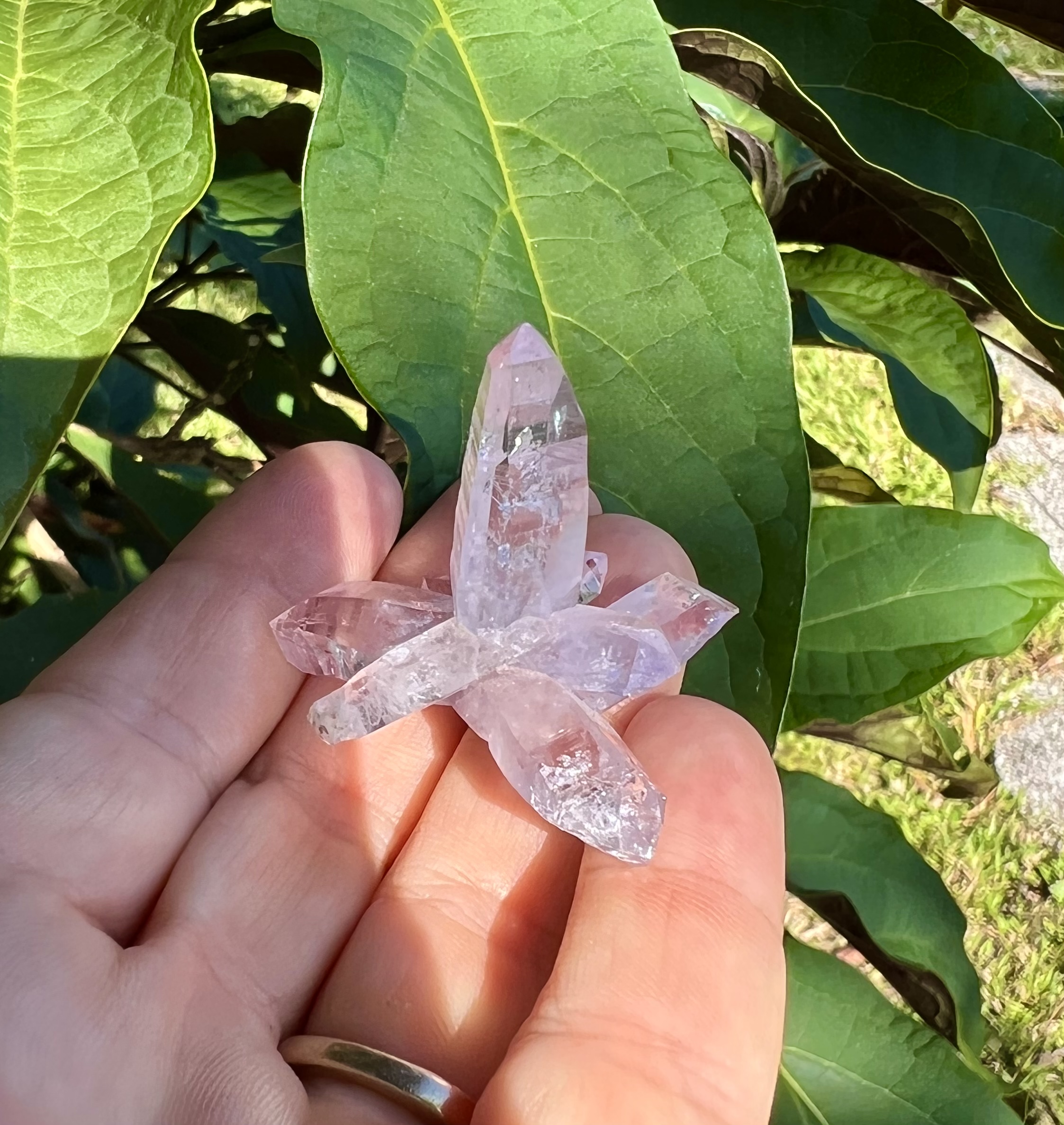 Veracruz Amethyst Cluster
