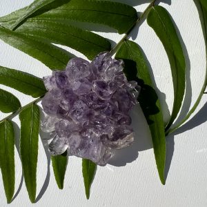 Amethyst Rosette