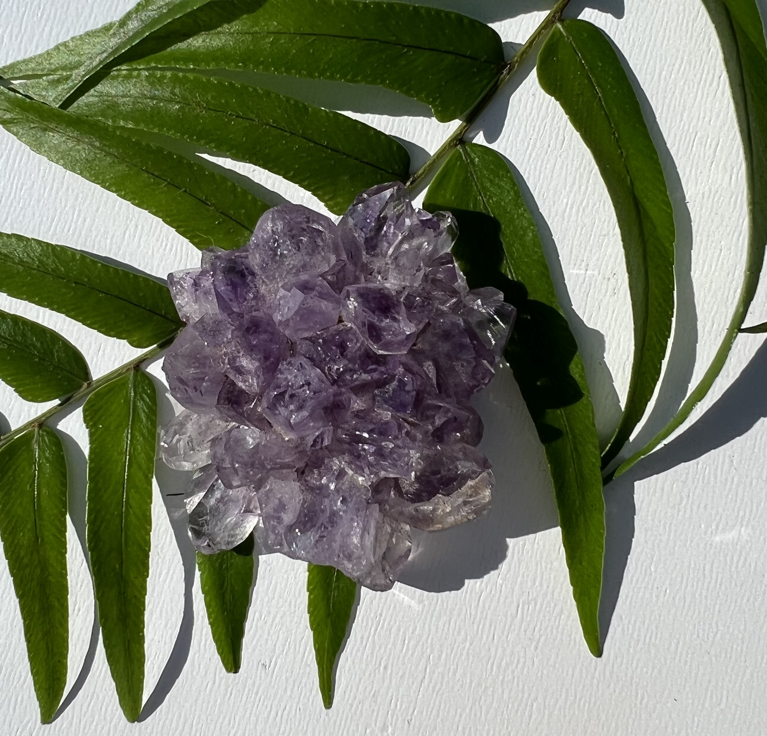 Amethyst Rosette