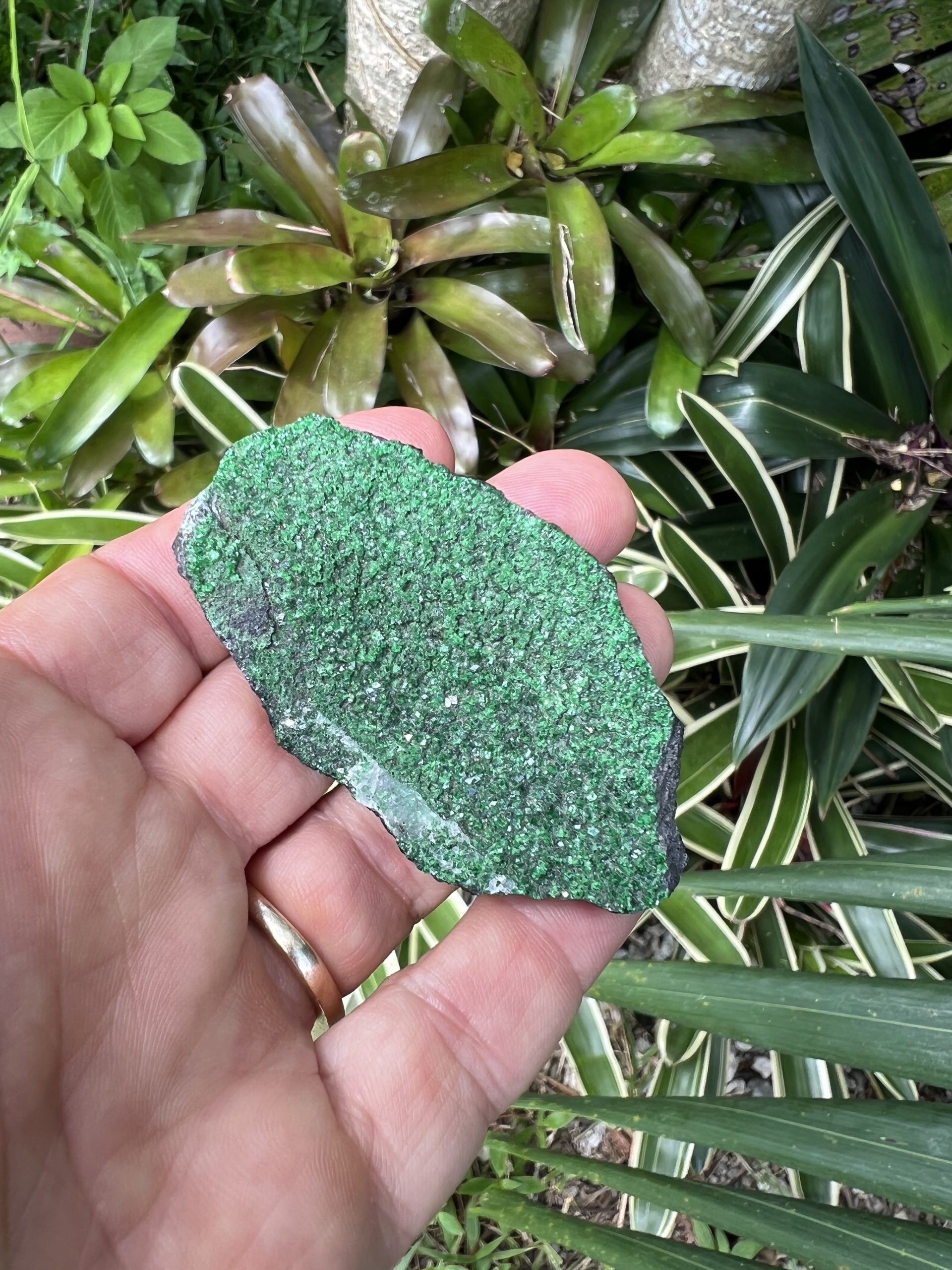 greengarnet