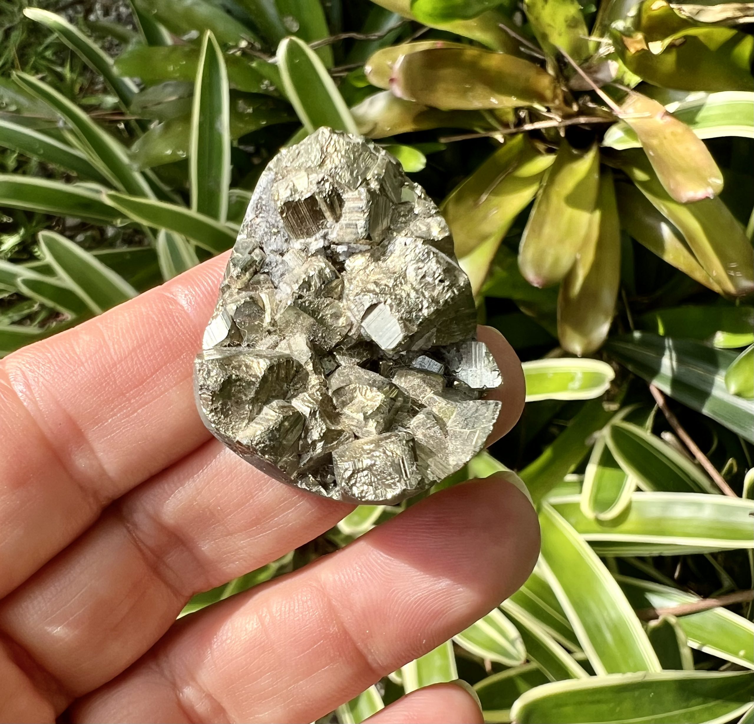pyrite
