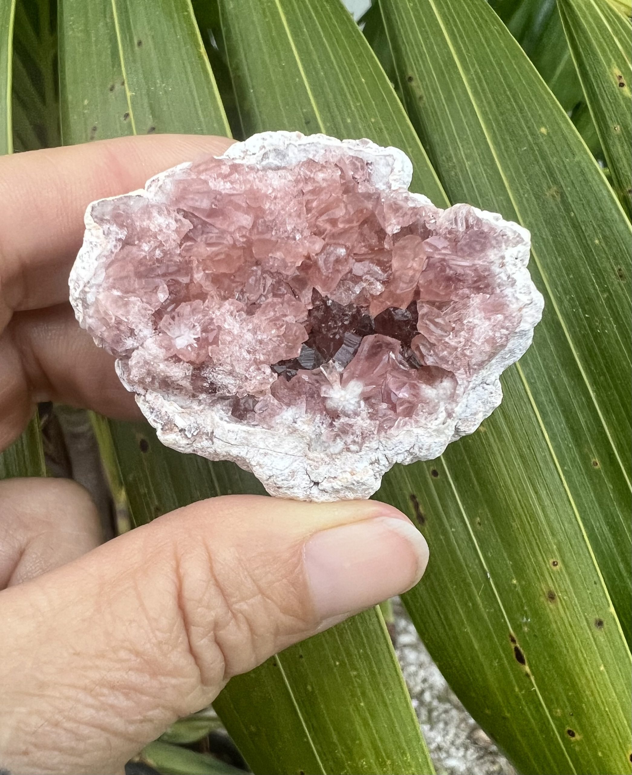 pink amethyst