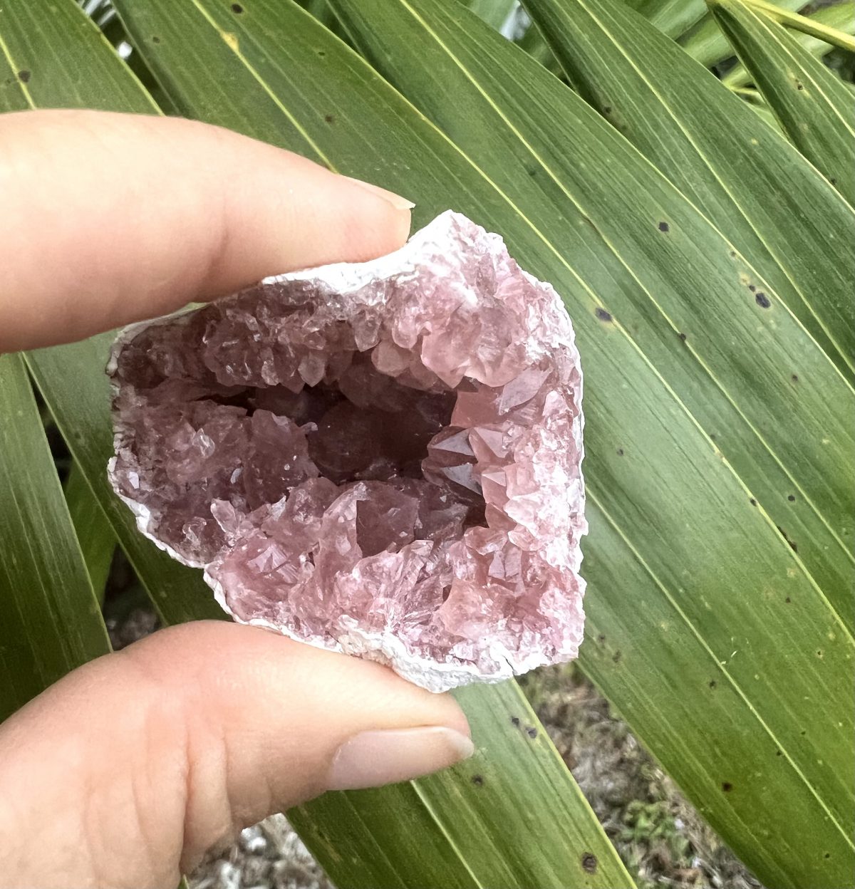 pink amethyst
