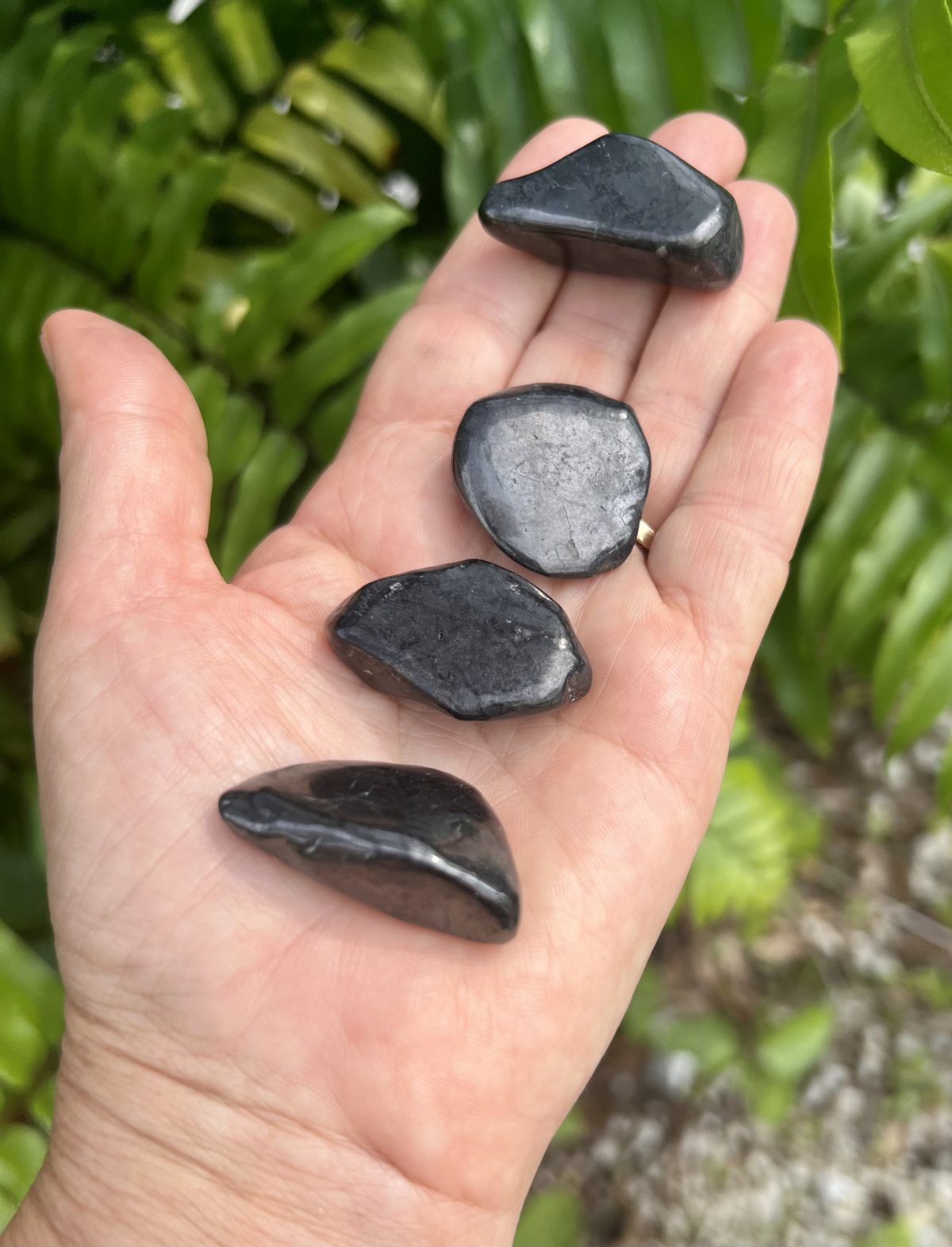 shungite