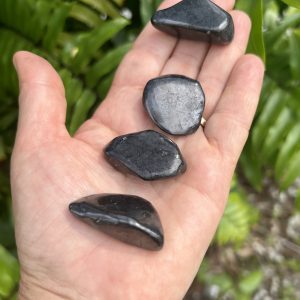 shungite