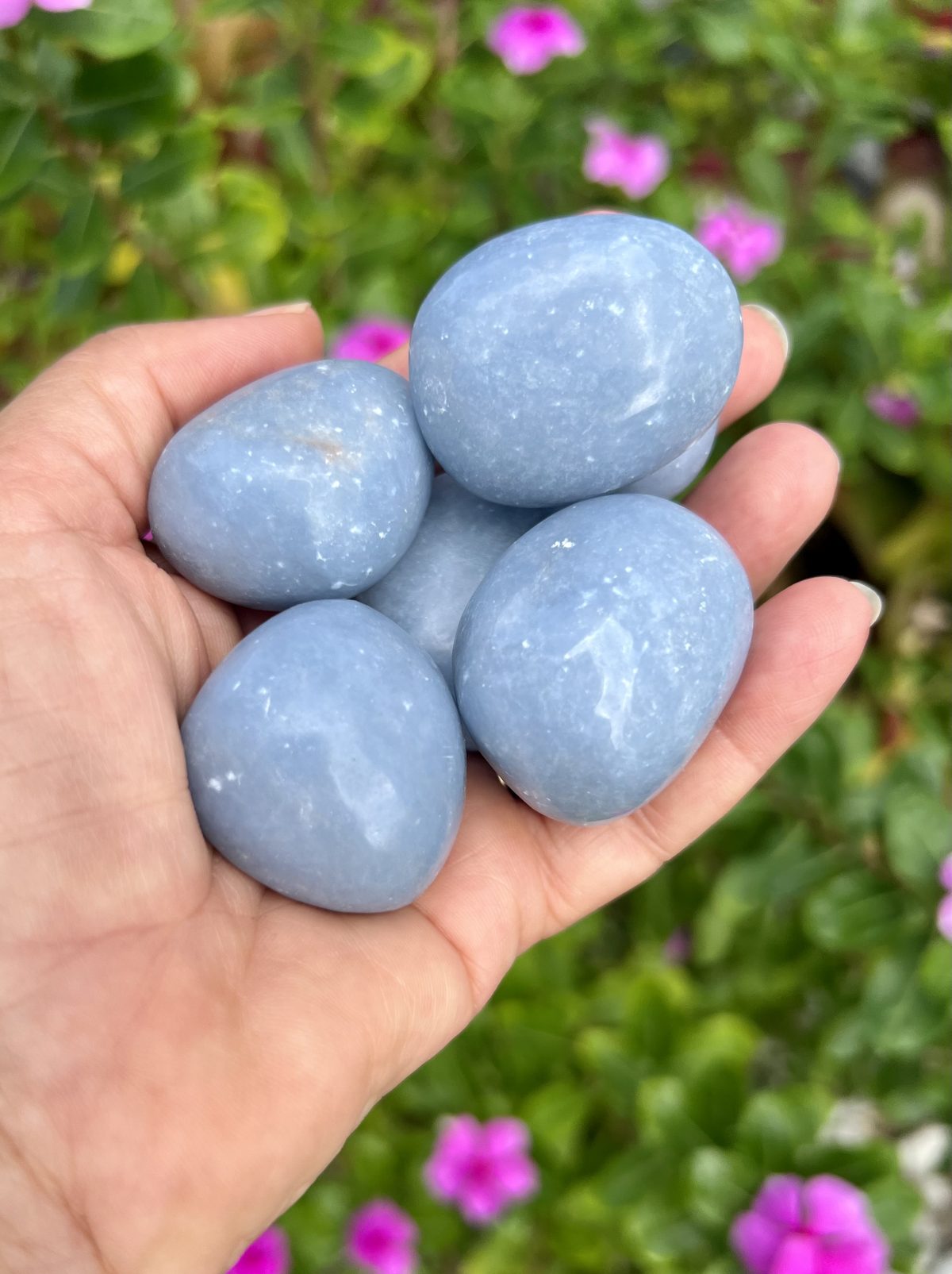 Angelite