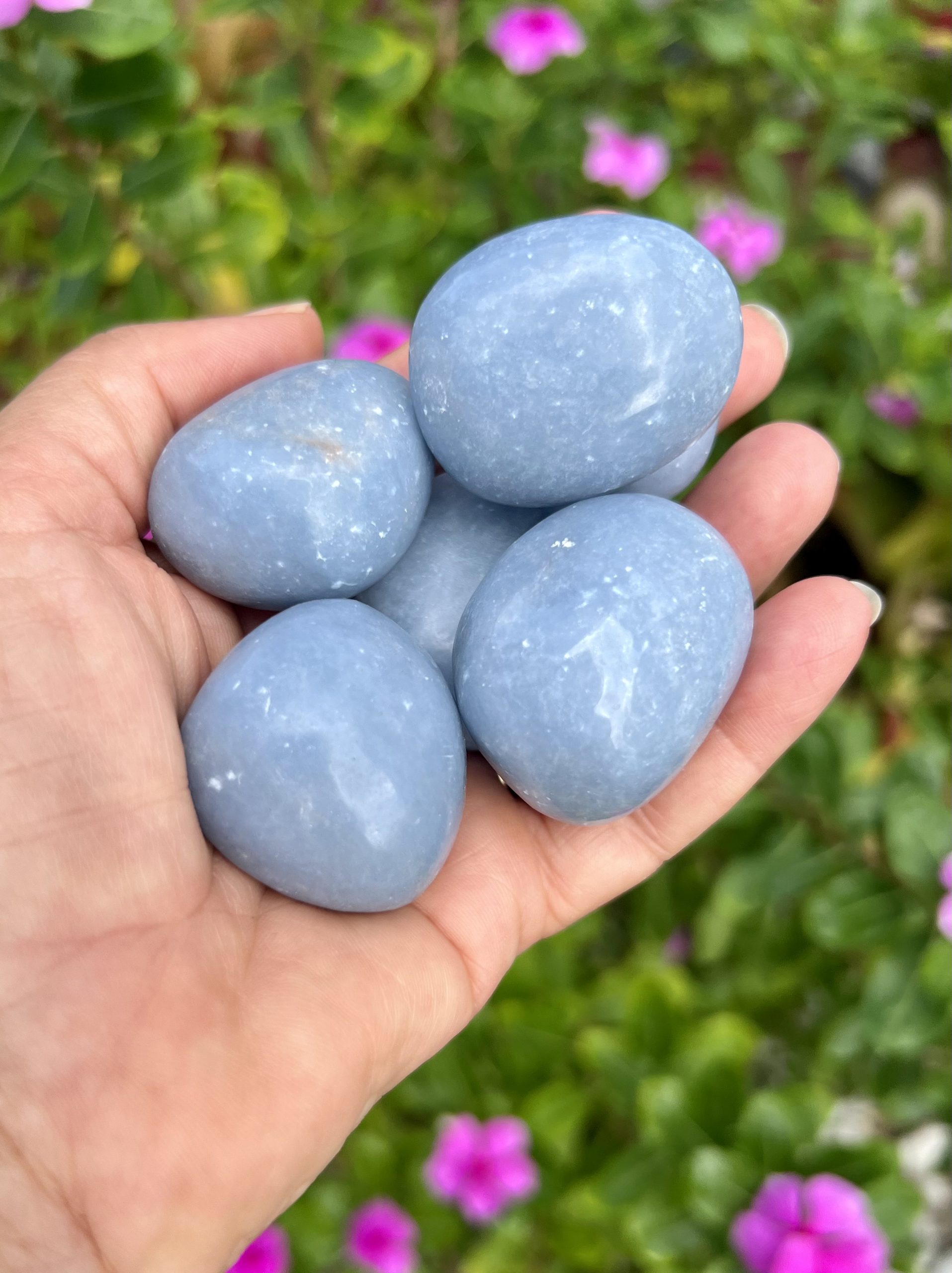 Angelite
