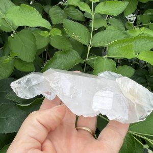 tabby crystal