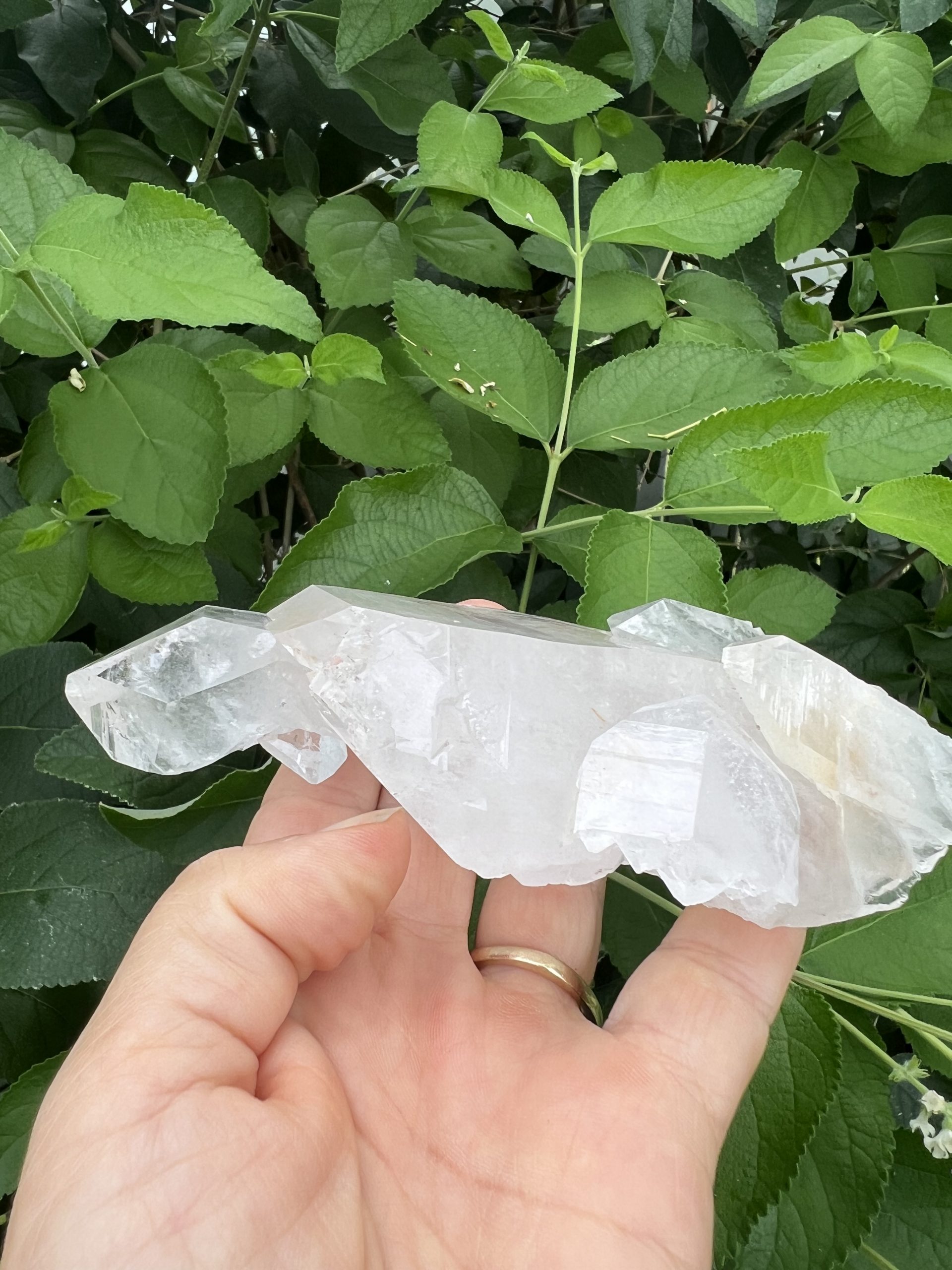 tabby crystal