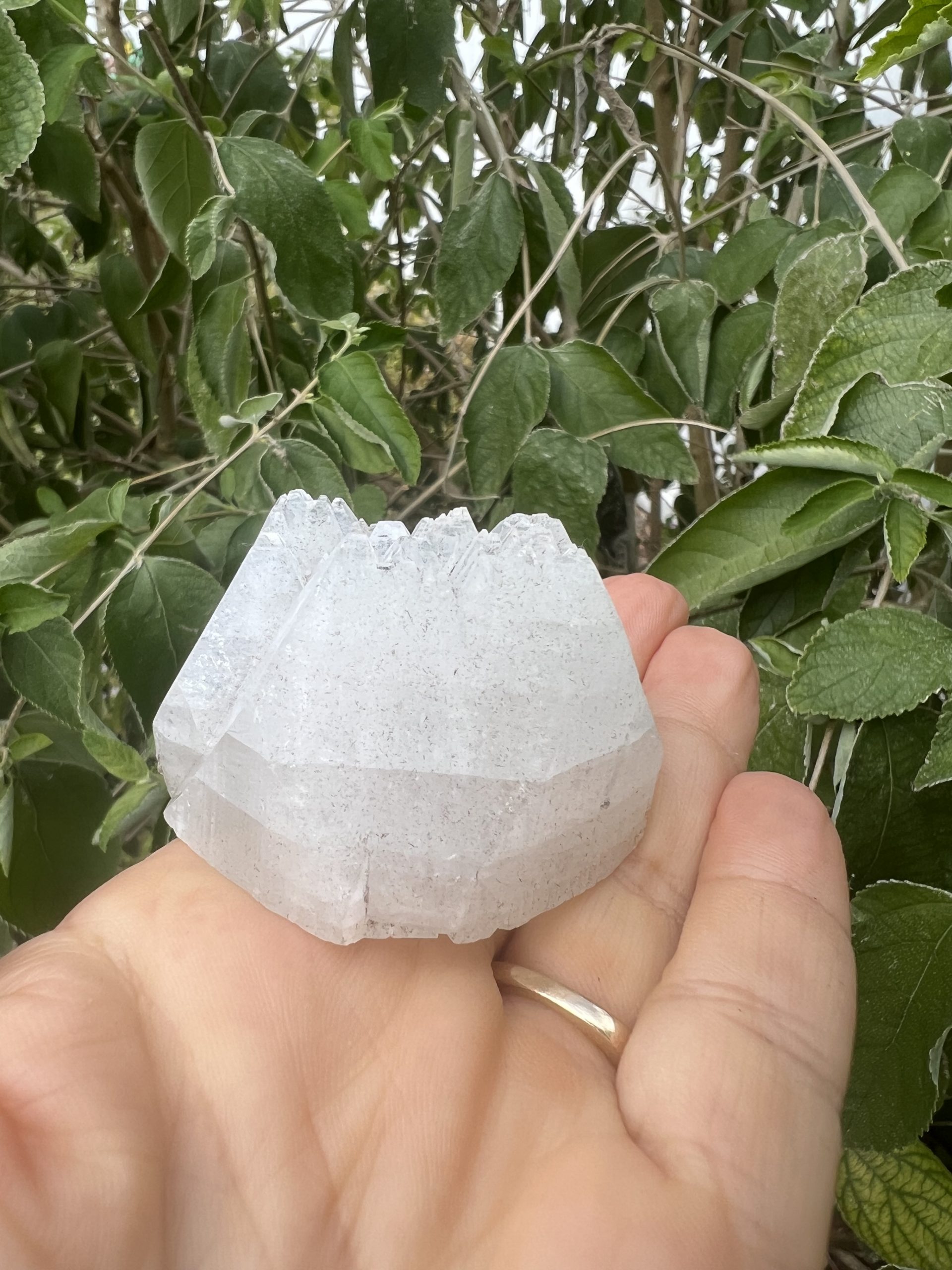 Apophyllite