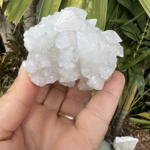 Apophyllite
