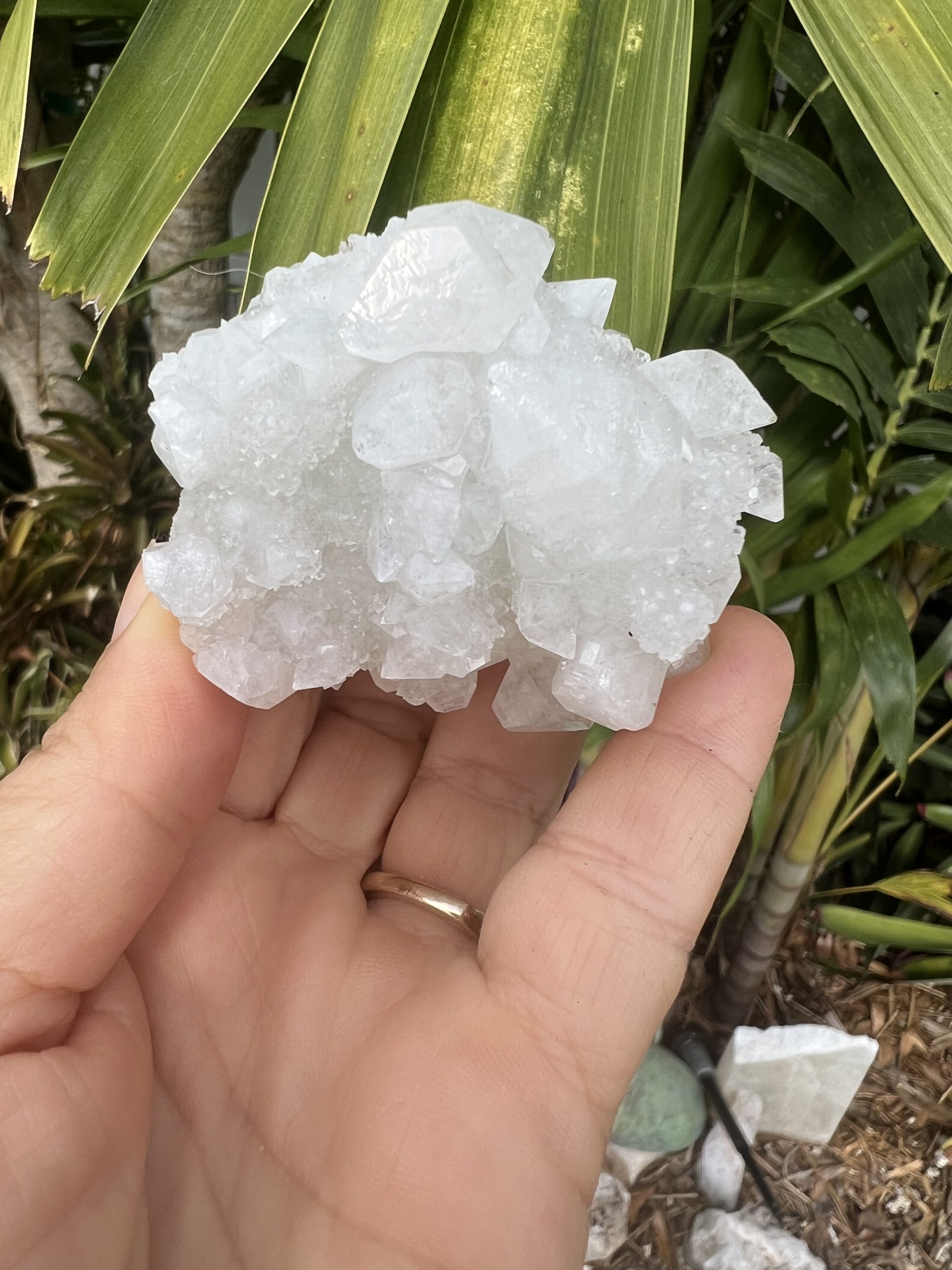 Apophyllite