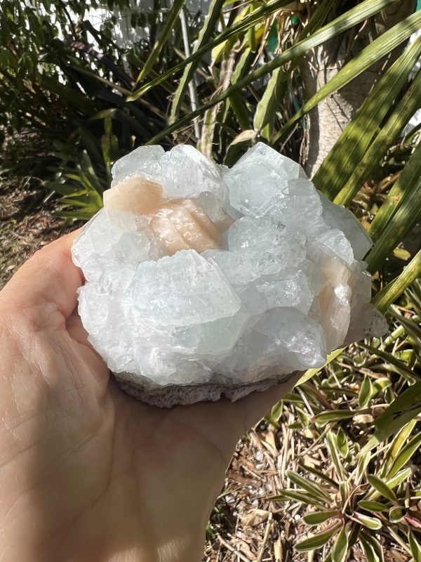 Apophyllite