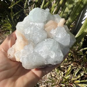 Apophyllite Cluster