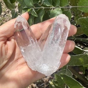 Quartz Crystal