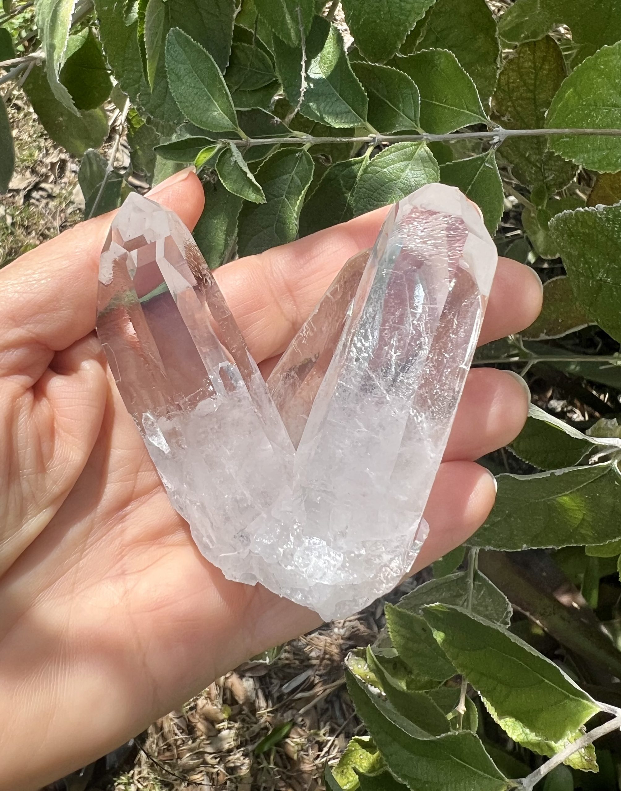 Quartz Crystal