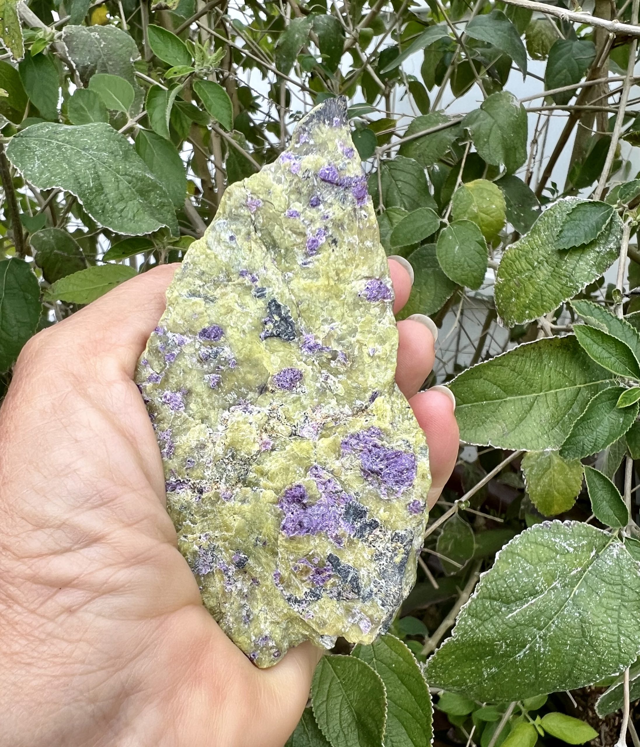 Atlantisite