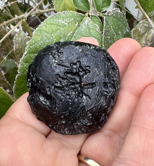 tektite