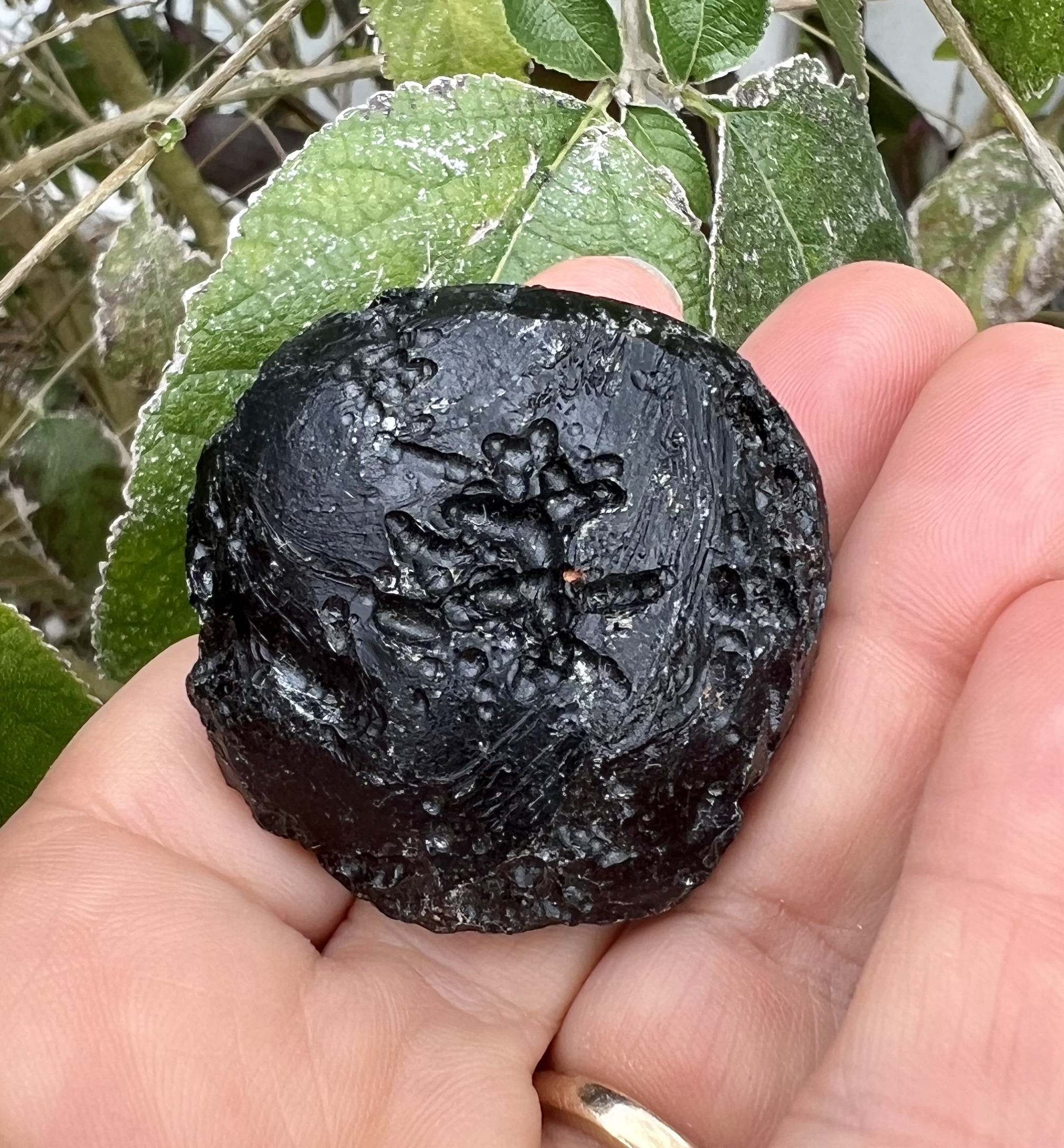 tektite