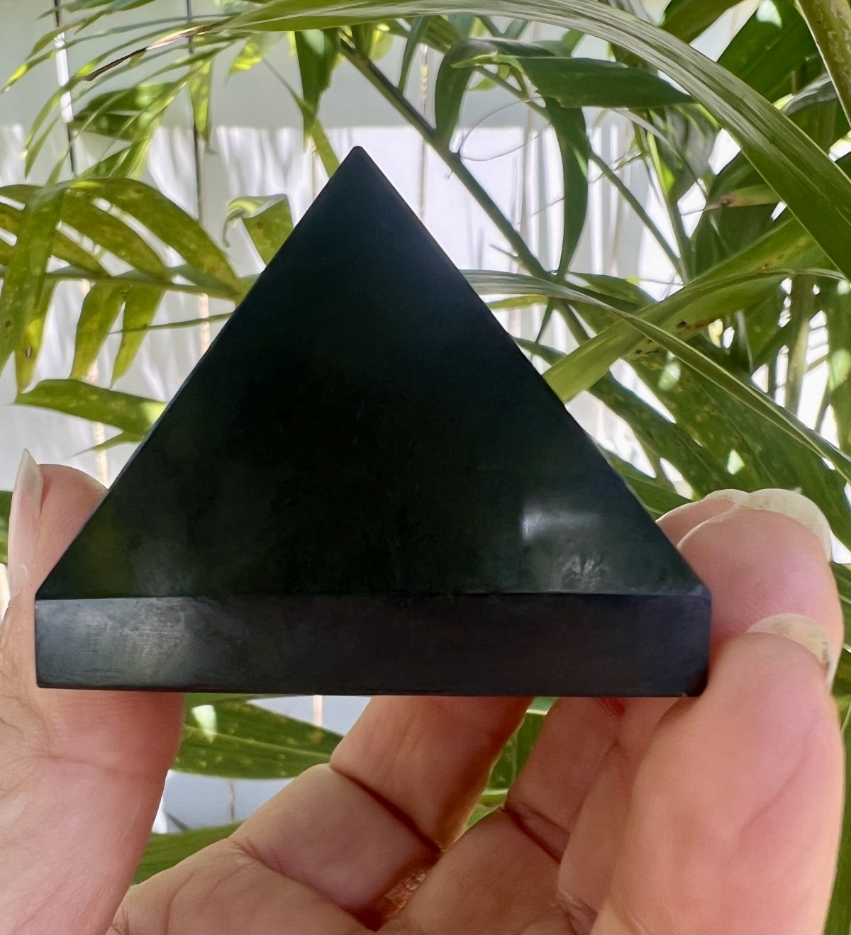 shungite