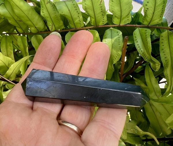 shungite