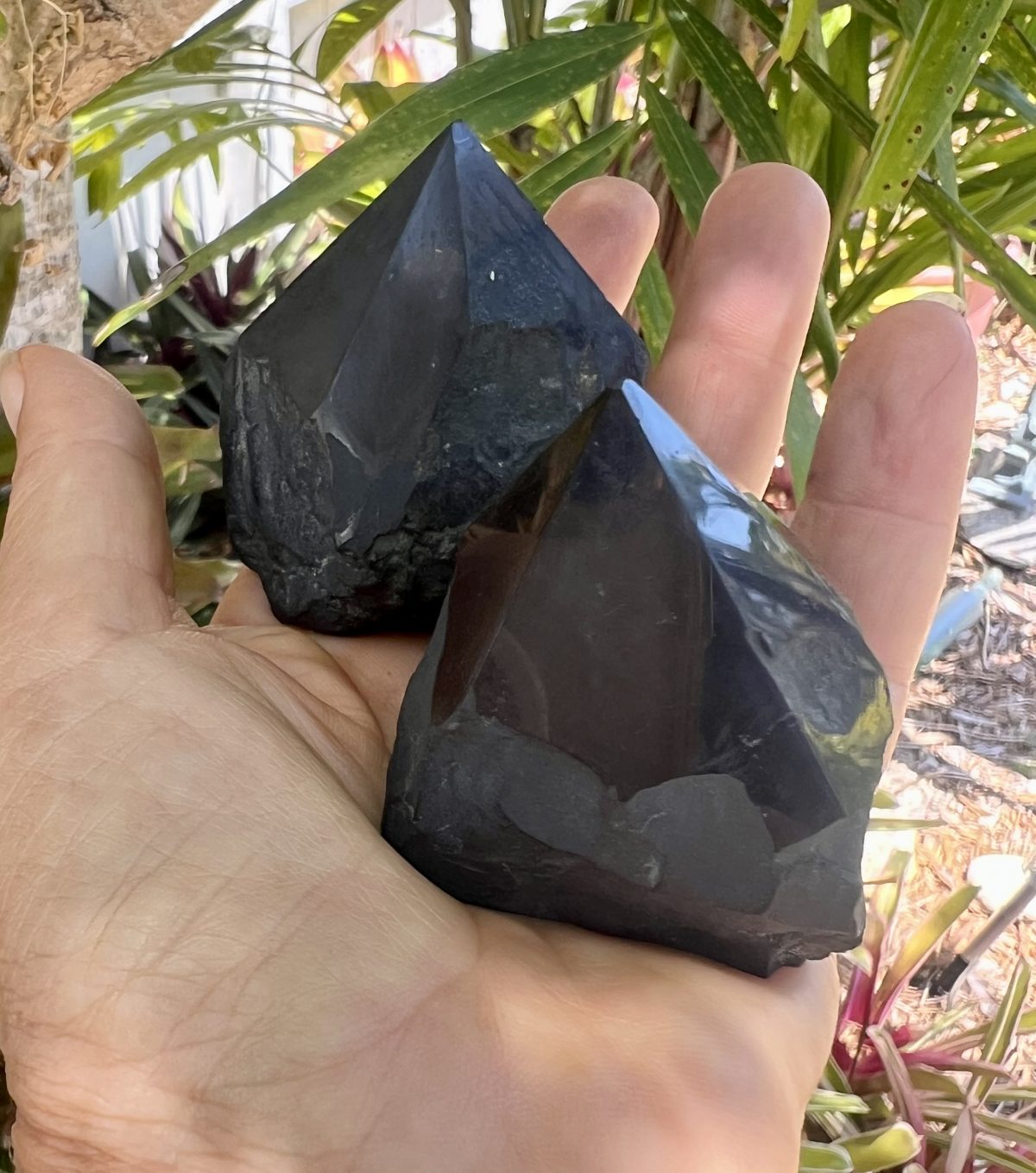 shungite