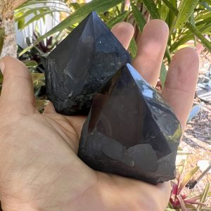 shungite