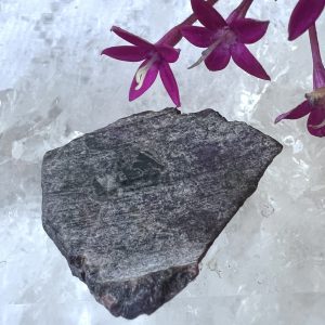 sugilite