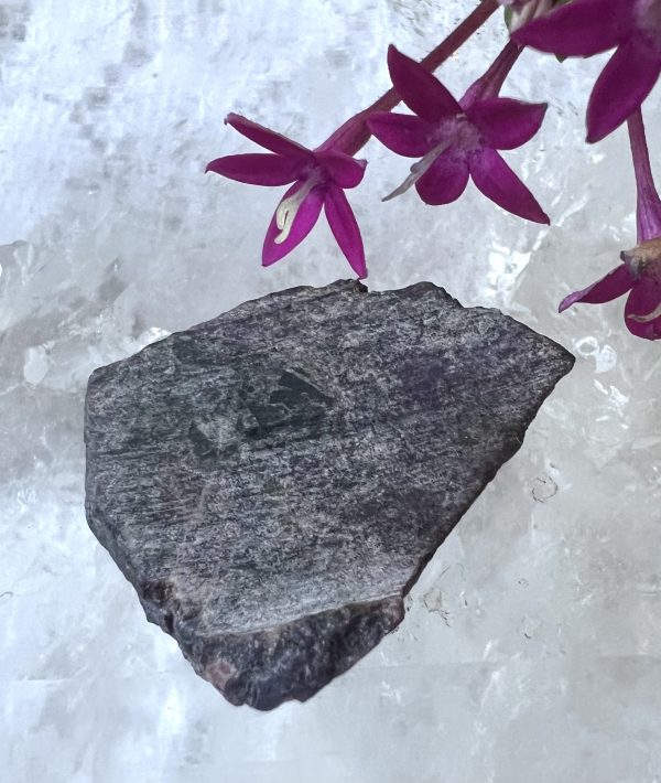 sugilite