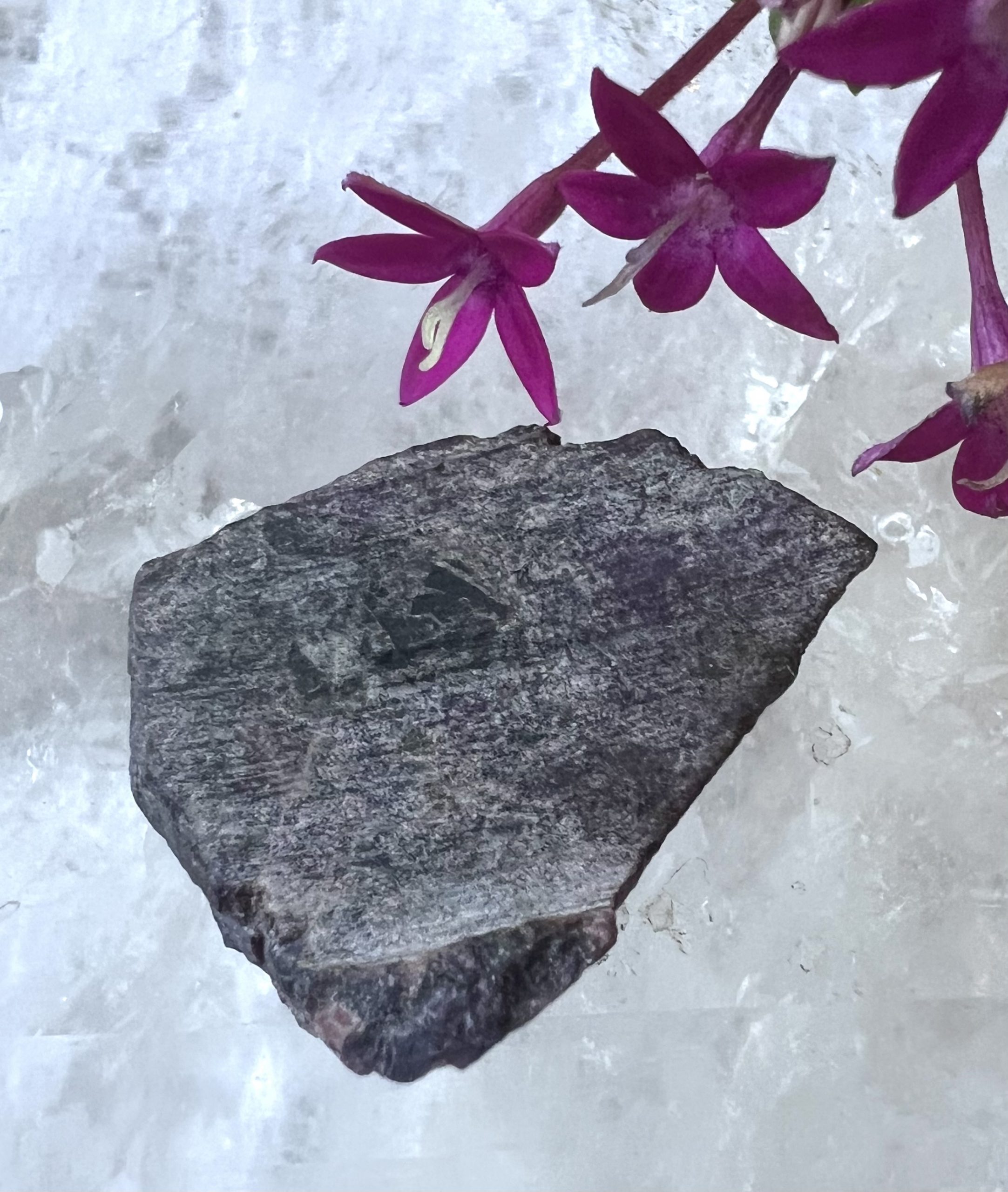 sugilite