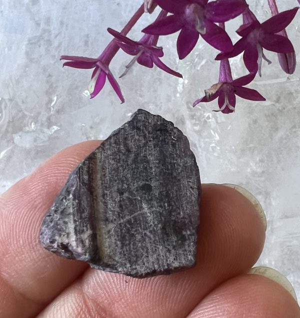 sugilite