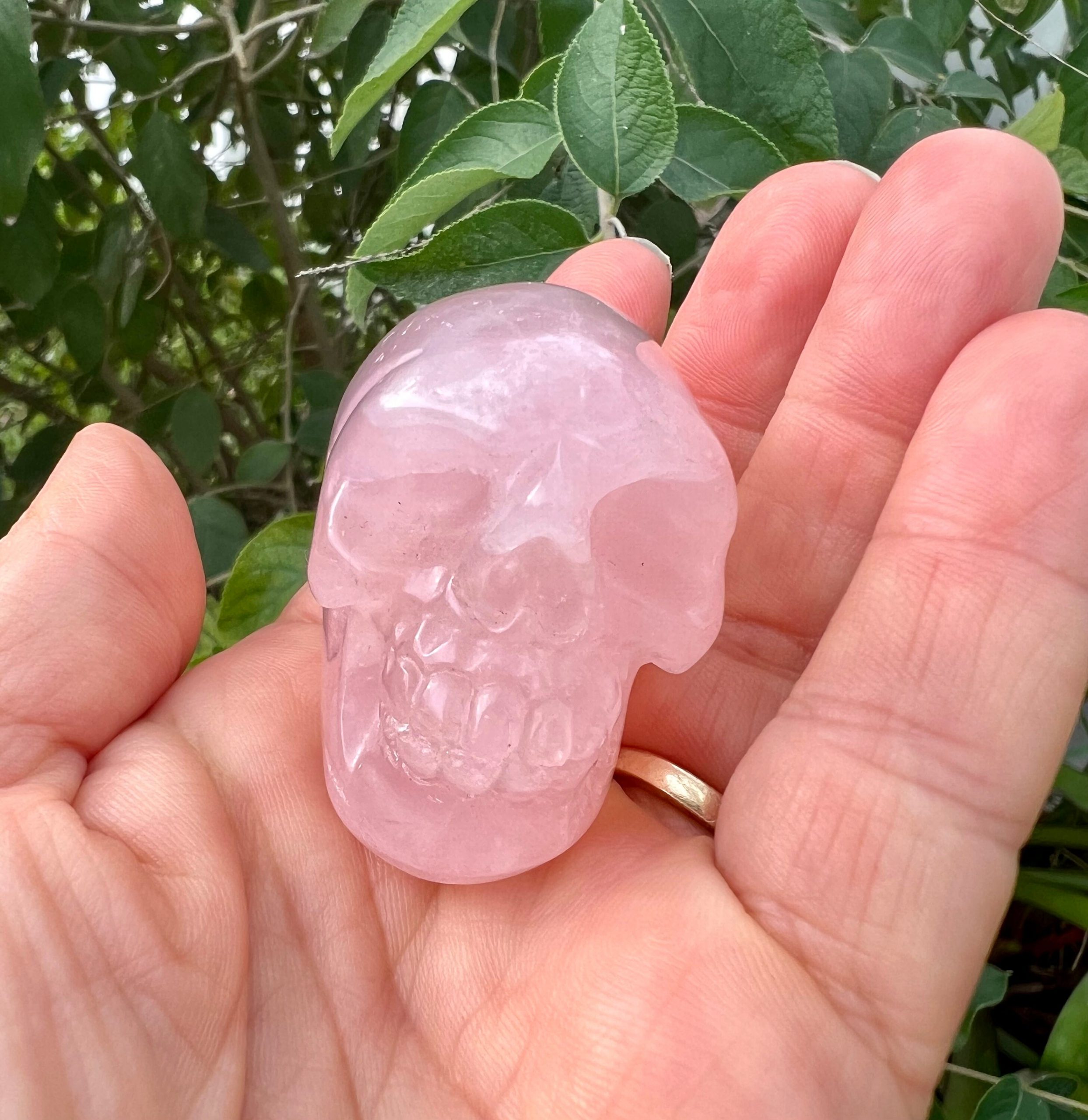 rose quartz skull rose quartz skull