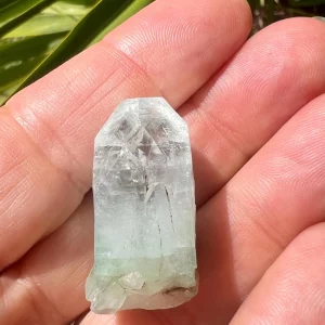 apophyllite