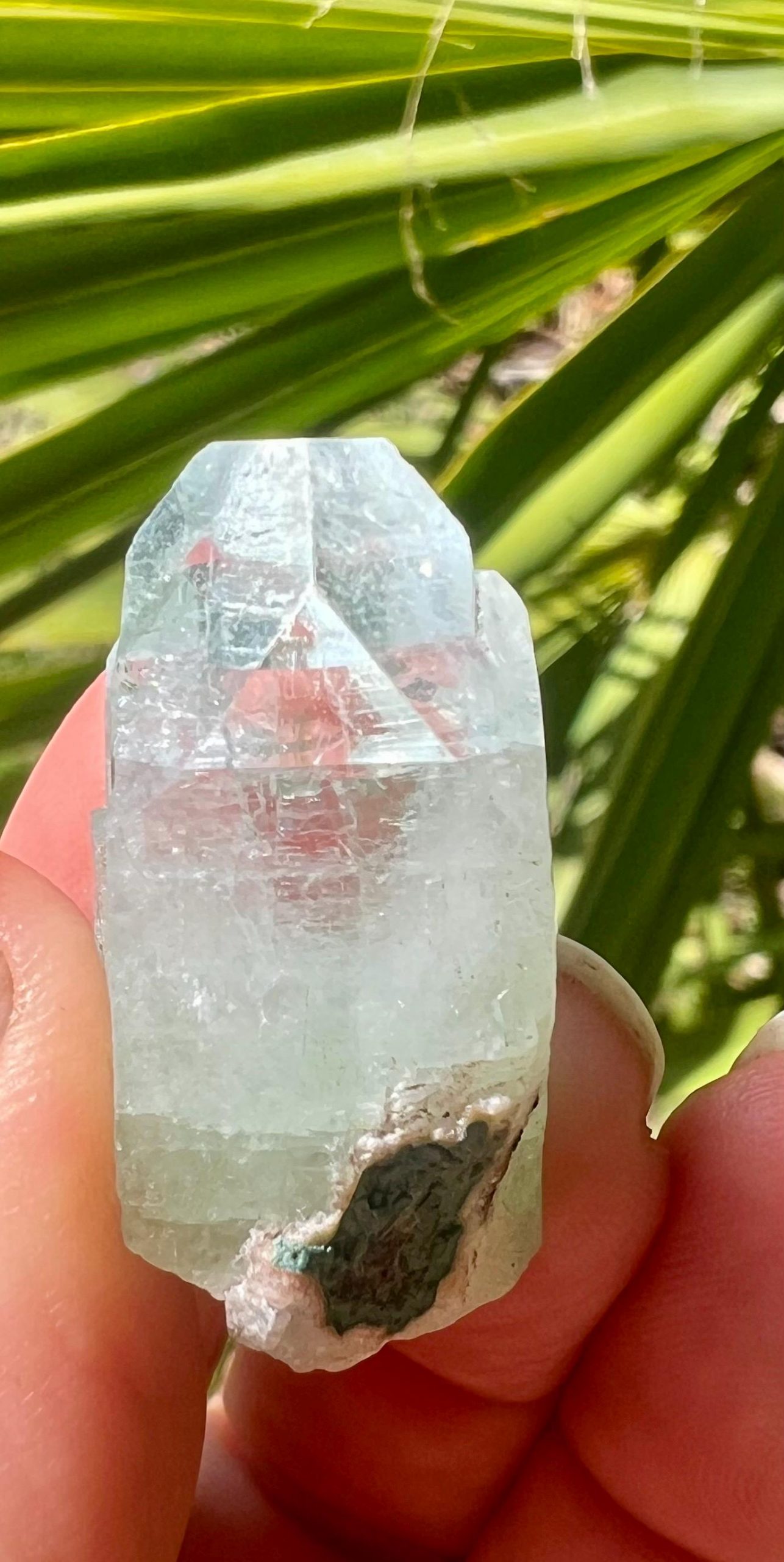 Green Apophyllite Crystal, Clear Termination, - Image 2